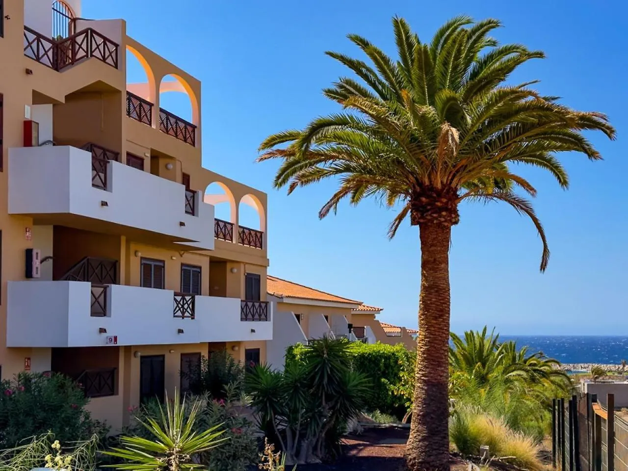 Albatros Sunny Relax Apartment San Miguel de Abona 0*,  Spain